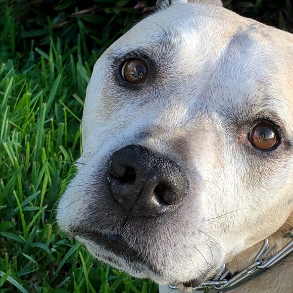 Meet your Posher, Nancy - Picture 4 of 8